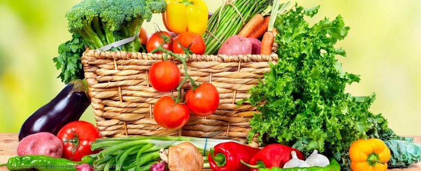 О закупке овощной продукции. О закупке овощной продукции.