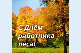 17.09.2021 Поздравление главы городского округа О.А. Бондарева с Днем работников леса | Администрация муниципального округа город Партизанск Приморского края Официальный сайт
