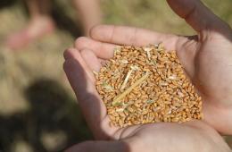 22.05.2025 До 10 миллионов рублей могут получить приморцы на развитие агротуризма | Администрация муниципального округа город Партизанск Приморского края Официальный сайт