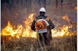 12.03.2021 Пожароопасный сезон в Приморье начнется с 20 марта, сообщает www.primorsky.ru | Администрация муниципального округа город Партизанск Приморского края Официальный сайт