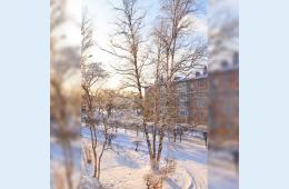 08.02.2021 Доброе воскресное утро, Партизанск. | Администрация муниципального округа город Партизанск Приморского края Официальный сайт