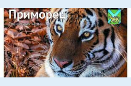 03.06.2021 О  льготах по карте &quot;Приморец&quot; | Администрация муниципального округа город Партизанск Приморского края Официальный сайт