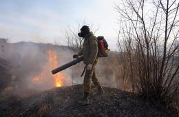 09.04.2025 Минлес Приморья: почти каждый второй лесной пожар вызван переходом огня с земель иных категорий  | Администрация муниципального округа город Партизанск Приморского края Официальный сайт