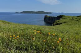 15.05.2025 Морские и лесные прогулки, чтение у костра: какой отдых в Приморье по душе людям. ОПРОС  | Администрация муниципального округа город Партизанск Приморского края Официальный сайт