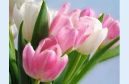 07.03.2023 Поздравление главы городского округа О.А. Бондарева с Международным женским Днем 8 Марта | Администрация муниципального округа город Партизанск Приморского края Официальный сайт