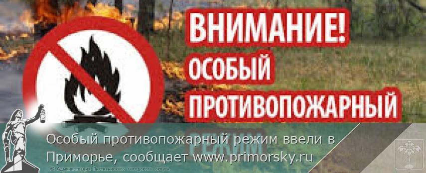 Особый противопожарный режим ввели в Приморье, сообщает www.primorsky.ru | Администрация муниципального округа город Партизанск Приморского края Официальный сайт
