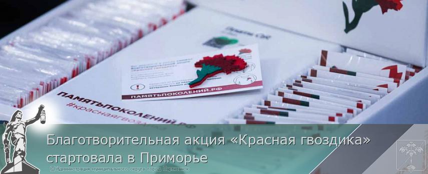 Благотворительная акция «Красная гвоздика» стартовала в Приморье | Администрация муниципального округа город Партизанск Приморского края Официальный сайт