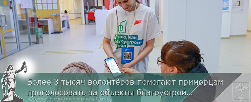 Более 3 тысяч волонтёров помогают приморцам проголосовать за объекты благоустройства | Администрация муниципального округа город Партизанск Приморского края Официальный сайт