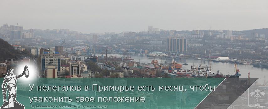 У нелегалов в Приморье есть месяц, чтобы узаконить свое положение  | Администрация муниципального округа город Партизанск Приморского края Официальный сайт