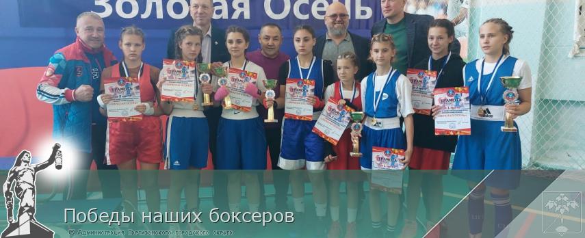 Победы наших боксеров | Администрация муниципального округа город Партизанск Приморского края Официальный сайт
