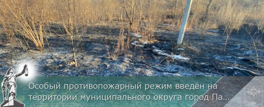Особый противопожарный режим введён на территории муниципального округа город Партизанск  | Администрация муниципального округа город Партизанск Приморского края Официальный сайт