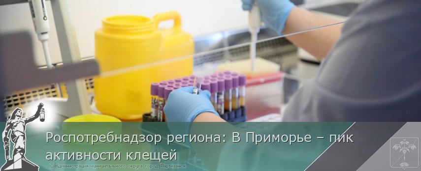 Роспотребнадзор региона: В Приморье – пик активности клещей | Администрация муниципального округа город Партизанск Приморского края Официальный сайт