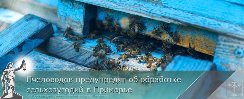 Пчеловодов предупредят об обработке сельхозугодий в Приморье | Администрация муниципального округа город Партизанск Приморского края Официальный сайт