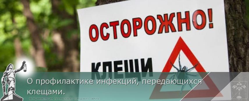 О профилактике инфекций, передающихся клещами. | Администрация муниципального округа город Партизанск Приморского края Официальный сайт