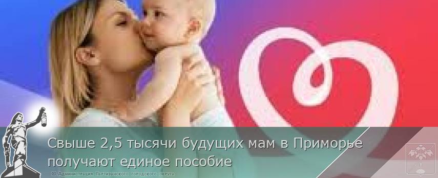 Свыше 2,5 тысячи будущих мам в Приморье получают единое пособие | Администрация муниципального округа город Партизанск Приморского края Официальный сайт