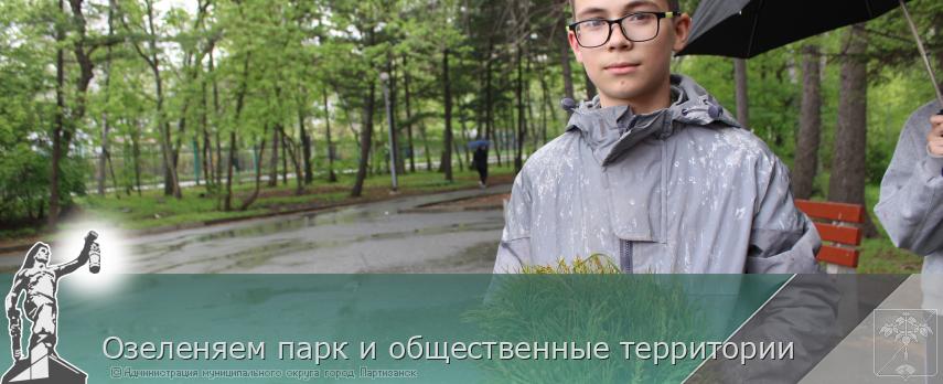 Озеленяем парк и общественные территории | Администрация муниципального округа город Партизанск Приморского края Официальный сайт